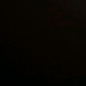 Meet your Posher, Dakota